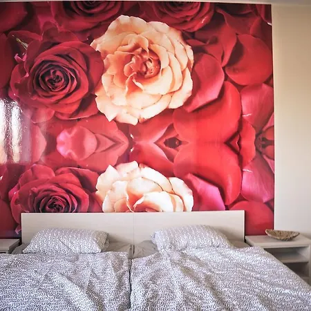 Rosa *