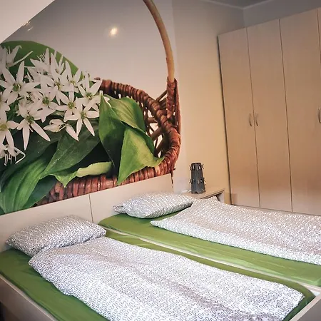 Rosa Guest house *