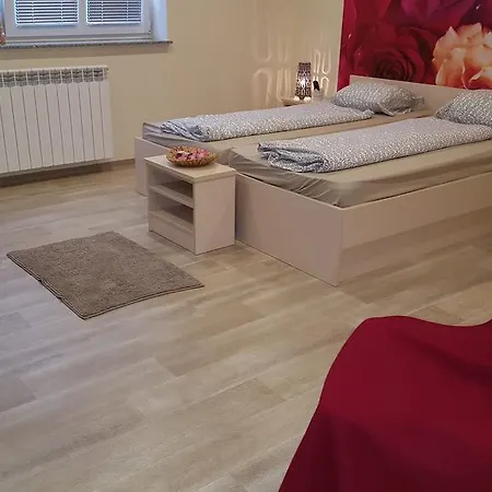 Guest house Rosa