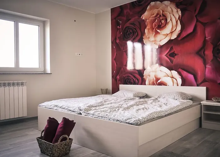 Πανσιόν Rosa Podgorje (Lenart)