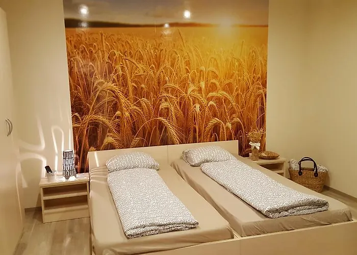 ゲストハウス Rosa 3*